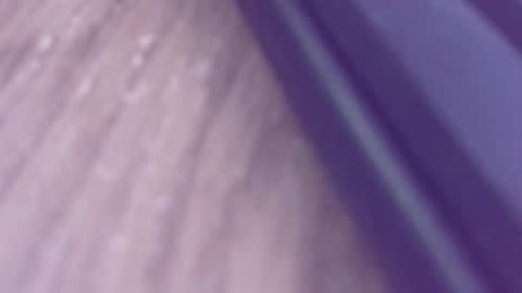 rudiandhisdick online show from 03.26.26