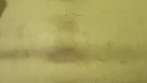 Rupali online show from 02.05.26