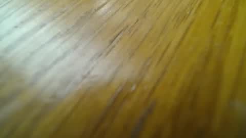 rustic69 online show from 02.24.25