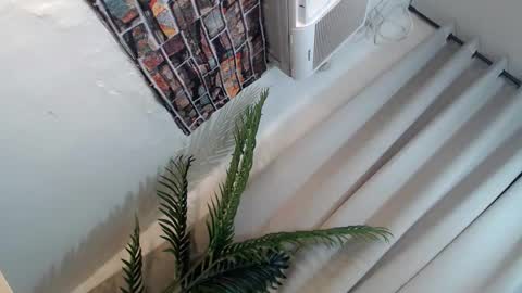 Snapshot of ryan_hyeson chatting on 01.26.25 Its me Ryan online show from 01.26.25