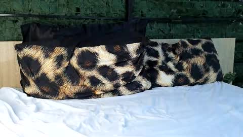 Snapshot of ryanstorm1 chatting on 10.24.25 ryanstorm1 online show from 10.24.25