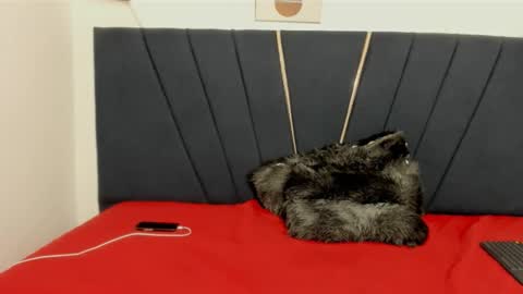 Snapshot of ryder_cum23 chatting on 11.12.25 ryder_cum23 online show from 11.12.25