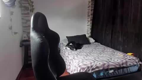 Snapshot of saad__man chatting on 11.02.25 Danny online show from 11.02.25