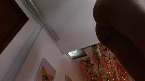 1 online show from 04.08.26