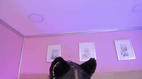 Ig  online show from 02.15.25