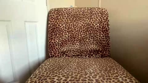 Snapshot of saeonyx chatting on 11.17.25 Saeonyx online show from 11.17.25