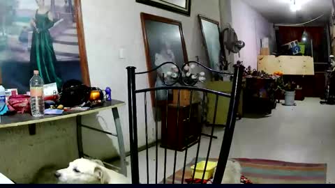 ruby  chocoholic cakeholic coffeeholic cookieholic online show from 11.18.25