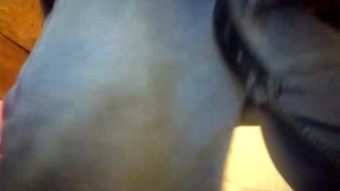 Penoso online show from 12.23.25