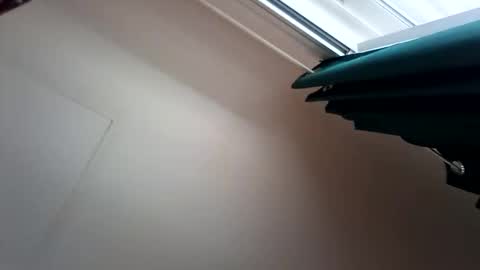 salis1981 online show from 12.13.25