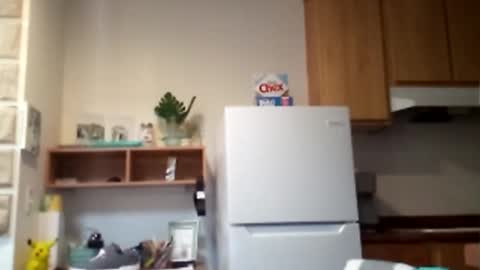 salis1981 online show from 02.10.26