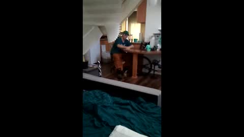 salis1981 online show from 03.17.26