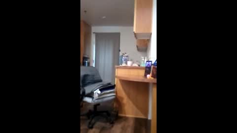 salis1981 online show from 04.16.26