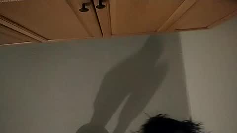 salmonman1305 online show from 01.02.25