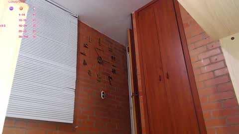 SAMANTHA online show from 01.14.25