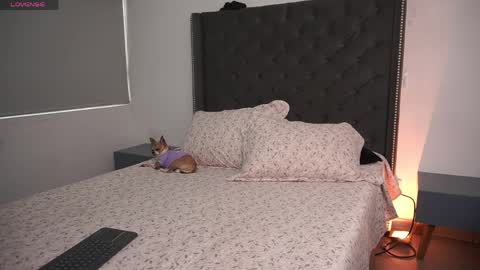 salomedyla online show from 04.16.26