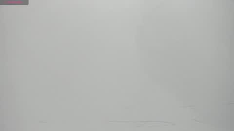 SALVATORE online show from 02.14.25