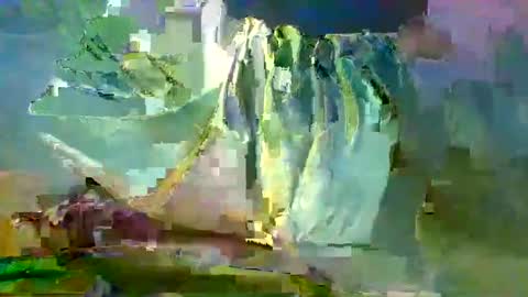 sam223382879 online show from 12.27.24