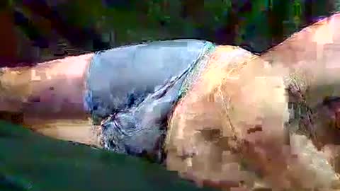 Snapshot of sam5554401727 chatting on 11.10.25 sam5554401727 online show from 11.10.25