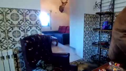 sam_papithebarber online show from 12.20.25