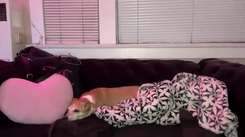 samanthafever online show from 04.07.26