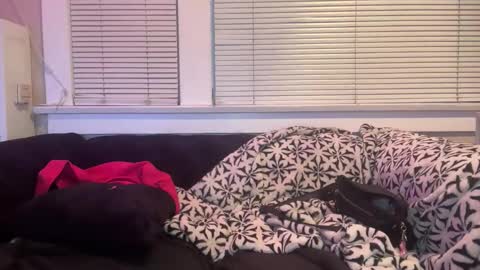 samanthafever online show from 04.11.26