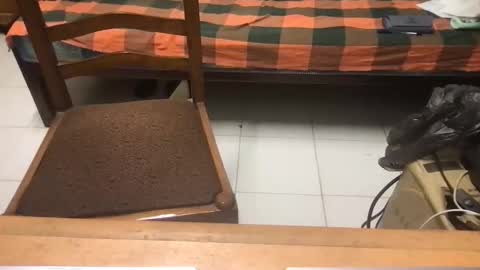 samhotbbc7 online show from 10.19.25