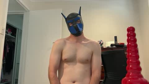 Sam online show from 02.11.25