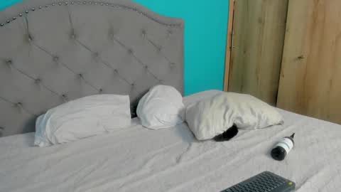 Snapshot of sammy_and_mike_ls chatting on 01.31.25 Sophie y Mark online show from 01.31.25