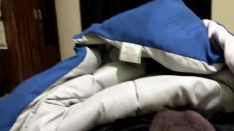 samnivin online show from 12.01.25