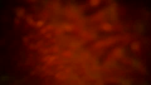 Snapshot of samueltal chatting on 09.16.25 samueltal online show from 09.16.25