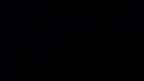 Sara Parker online show from 12.03.25