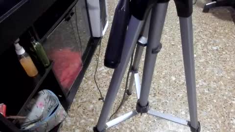 sara_salgado online show from 02.11.26