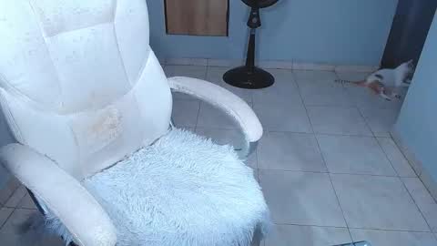 Snapshot of sara_y_rauw chatting on 02.15.26 Sara online show from 02.15.26