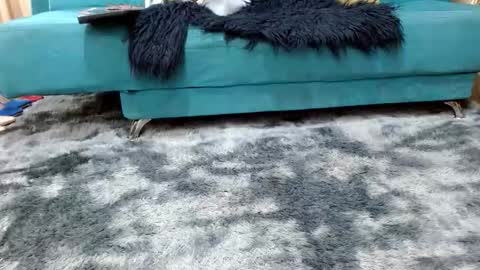 sarita_klein online show from 11.08.25