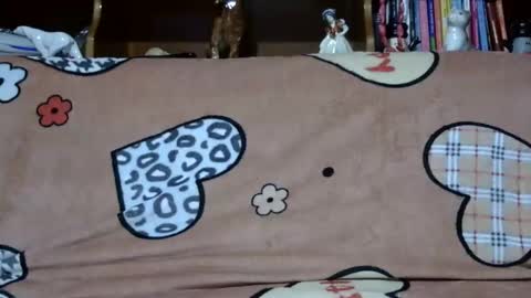 Snapshot of sarraella chatting on 12.02.24 Sarra online show from 12.02.24