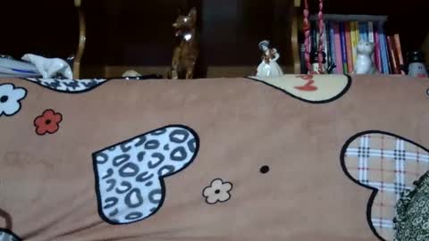 Snapshot of sarraella chatting on 12.07.24 Sarra online show from 12.07.24