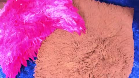 Sary  online show from 04.13.26