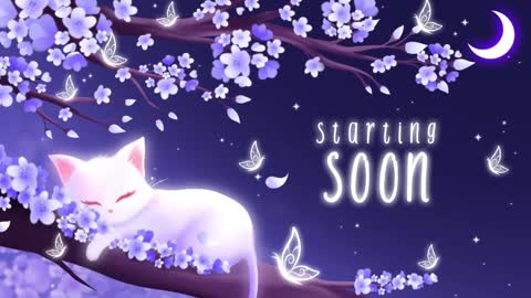 Sassy Sami Kittyn online show from 01.20.25