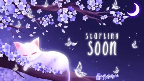 Sassy Sami Kittyn online show from 03.10.25