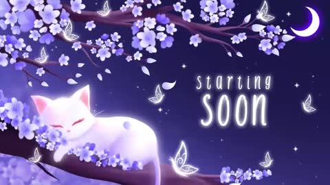 Sassy Sami Kittyn online show from 03.11.25