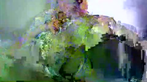 savagetonguee online show from 03.29.26