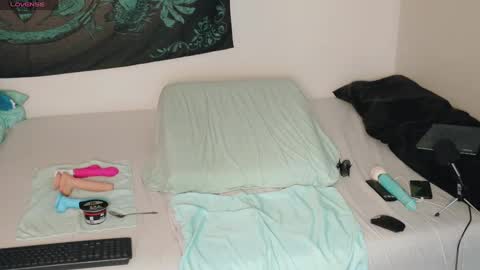 Snapshot of savethebea chatting on 12.29.24 Bea online show from 12.29.24