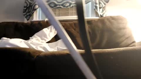 Snapshot of sayhi2mylilguy chatting on 02.27.25 sayhi2mylilguy online show from 02.27.25