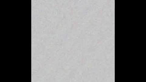 Venus online show from 02.17.25