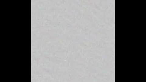 Venus online show from 10.19.25