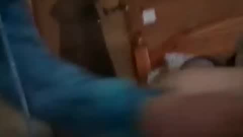 scamp12 online show from 10.21.25