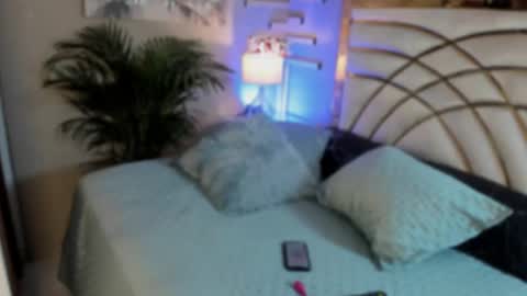 scarlet hill online show from 01.12.25