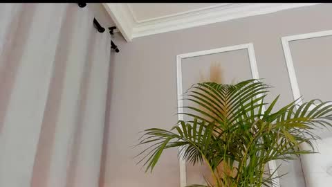 scarlet hill online show from 02.28.25