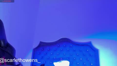    online show from 12.29.24