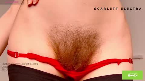 Snapshot of scarlett_electra chatting on 12.27.24 SCARLETT ELECTRA - online show from 12.27.24
